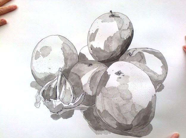 Finished drawing - A2 - Still life study of natural forms, using acrylic ink, dip pen, water and brushes.