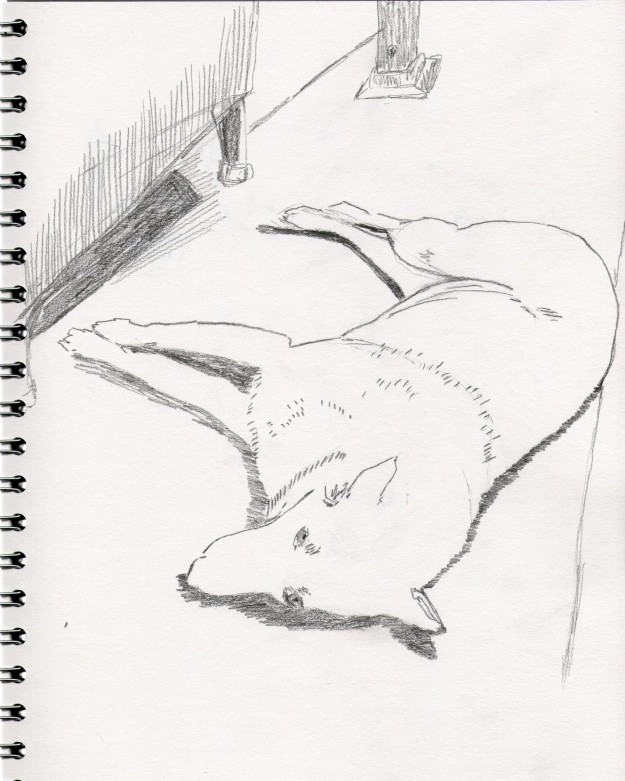 Drawing observing shadow and context as well as shape of dog's body.