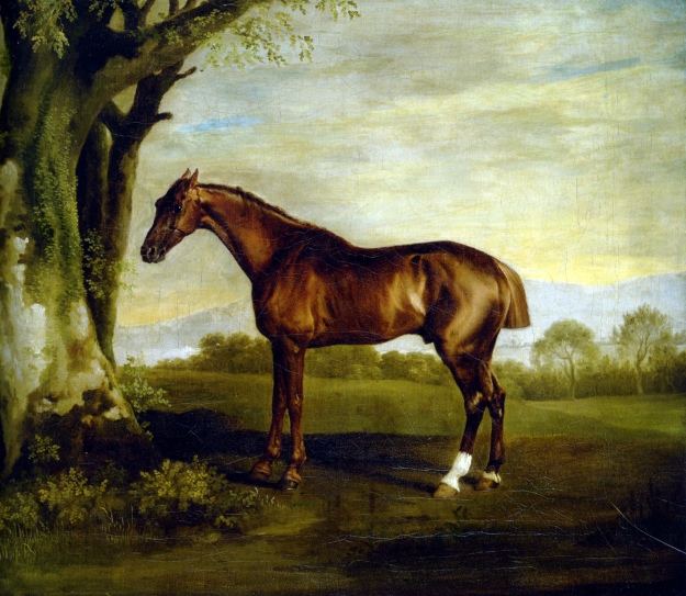 a-chestnut-racehorse
