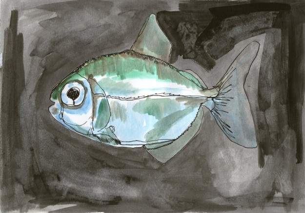 Second fish drawing - acrylic ink and watercolour paint.