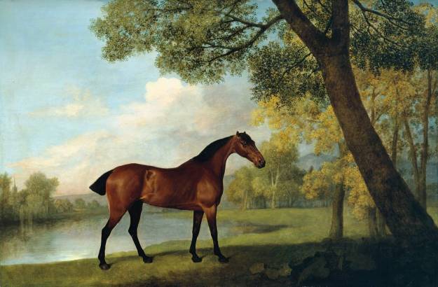 Bay Hunter by a Lake 1787 by George Stubbs 1724-1806