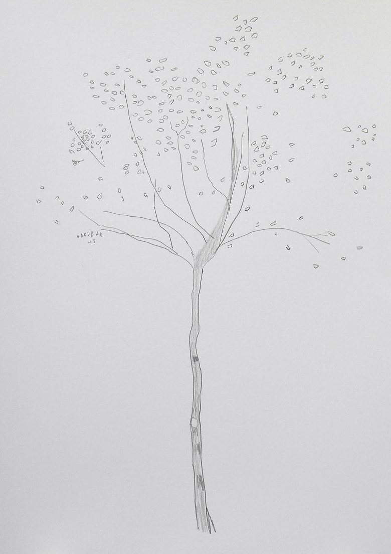 hawthorn tree | Eve's art