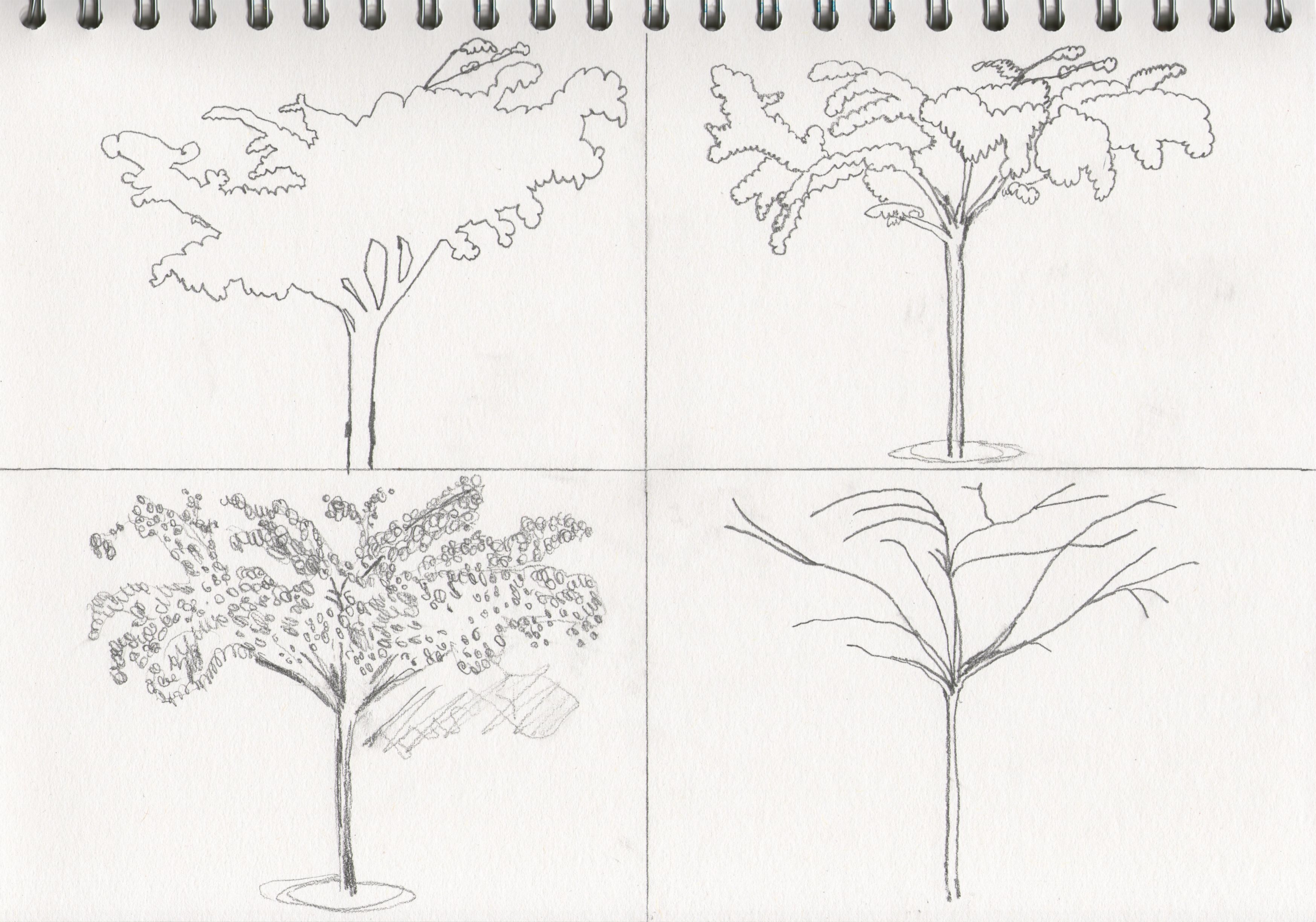 Featured image of post Simple Pencil Sketch Of A Tree